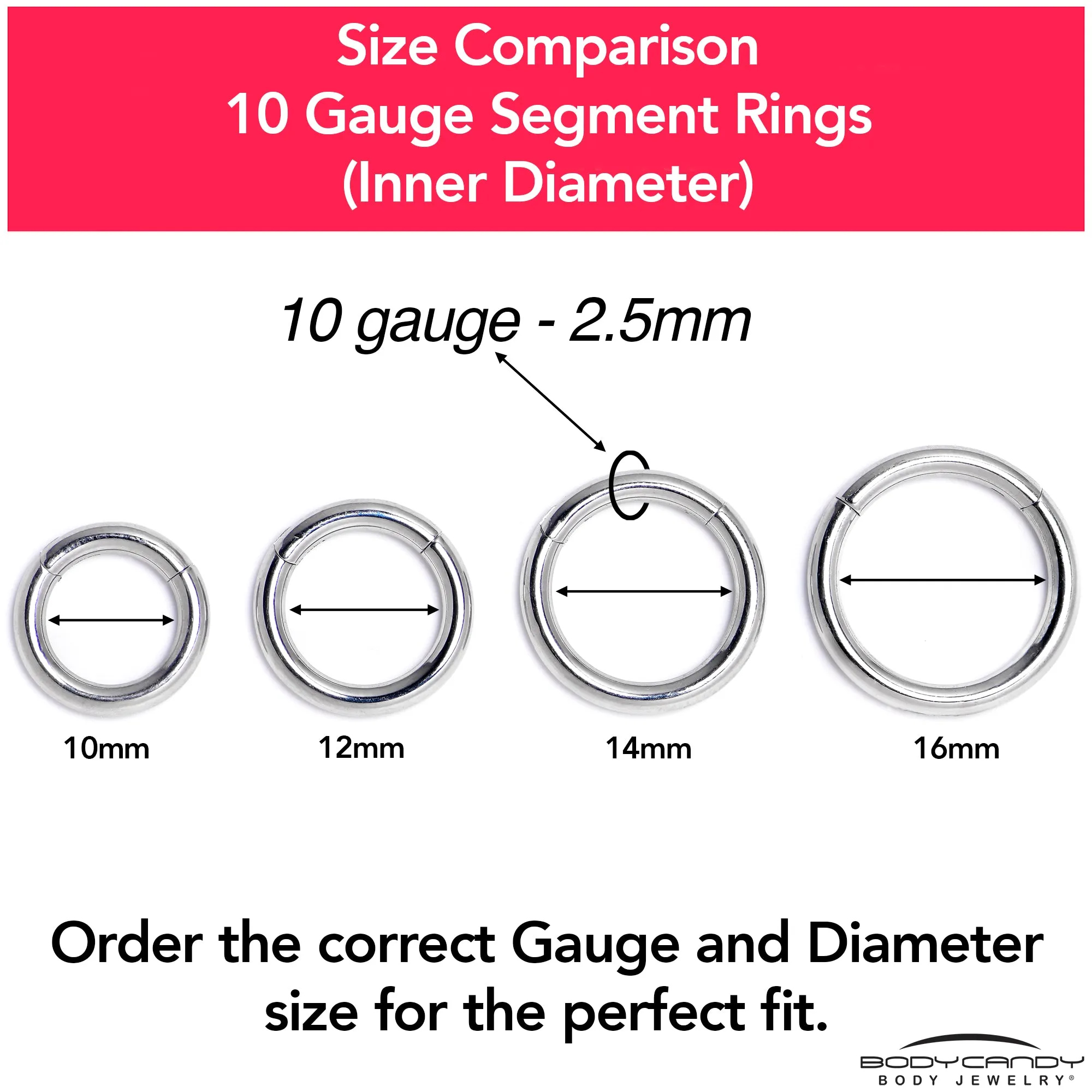 10 Gauge 3/8 316L Surgical Steel Precision Hinged Segment Hoop