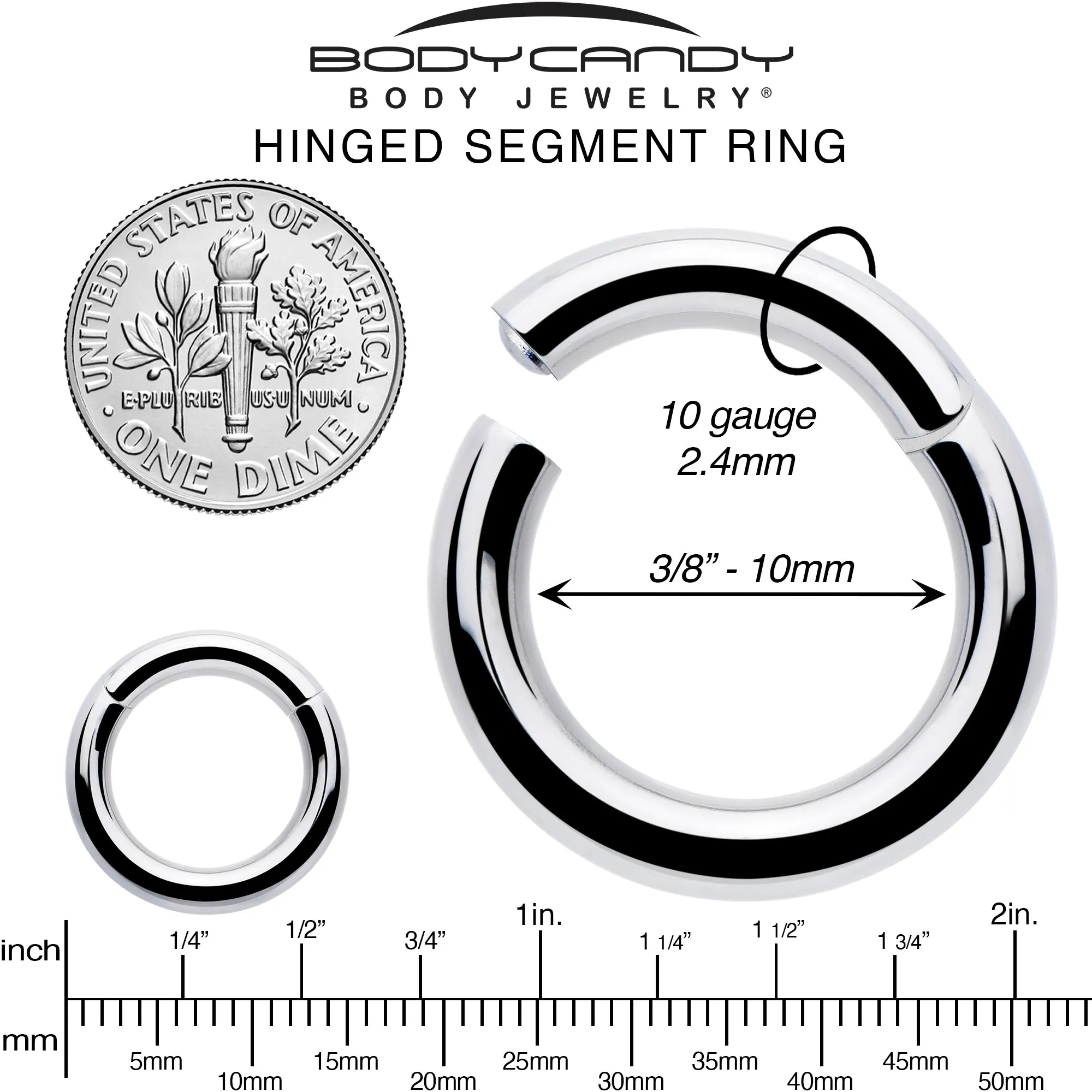 10 Gauge 3/8 316L Surgical Steel Precision Hinged Segment Hoop