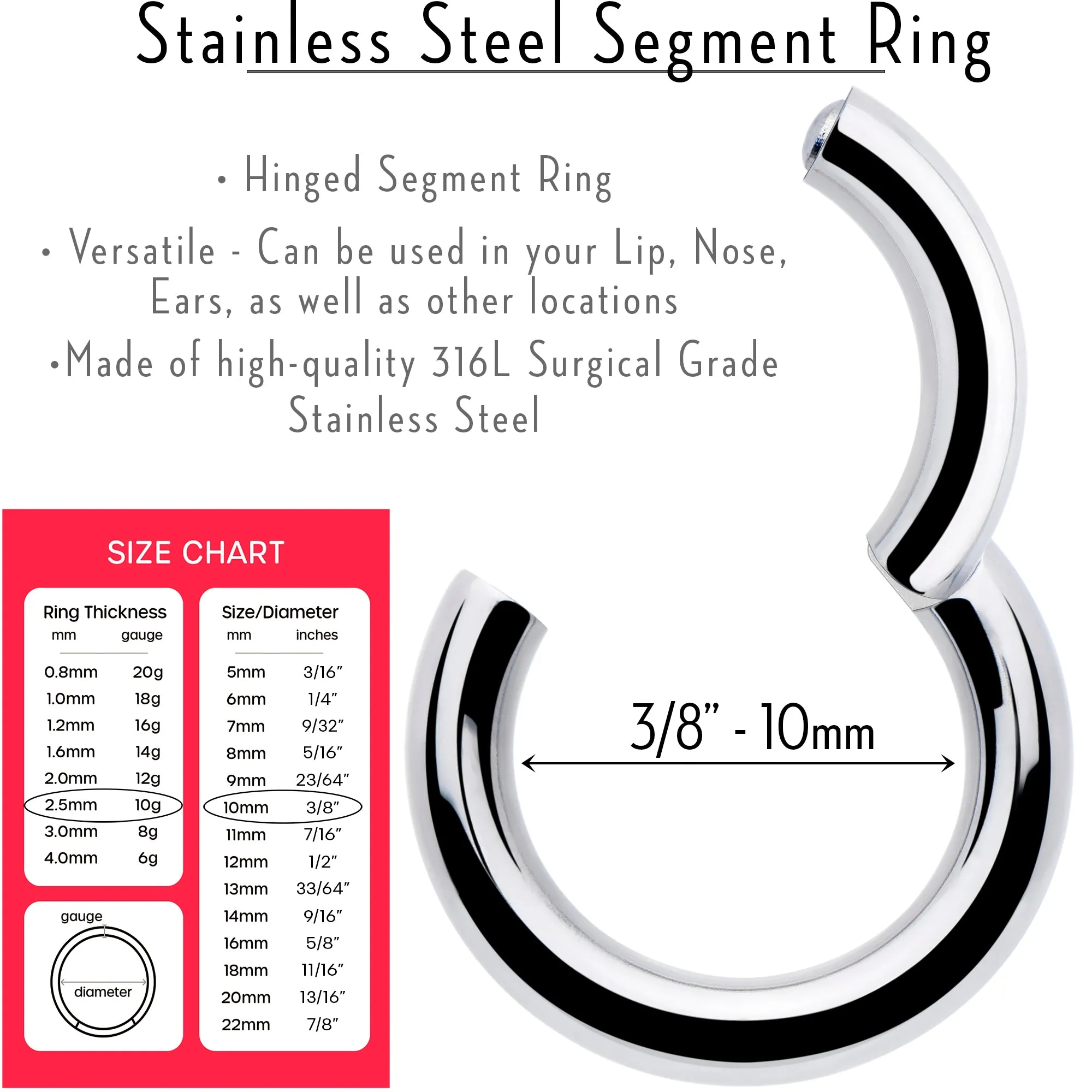 10 Gauge 3/8 316L Surgical Steel Precision Hinged Segment Hoop