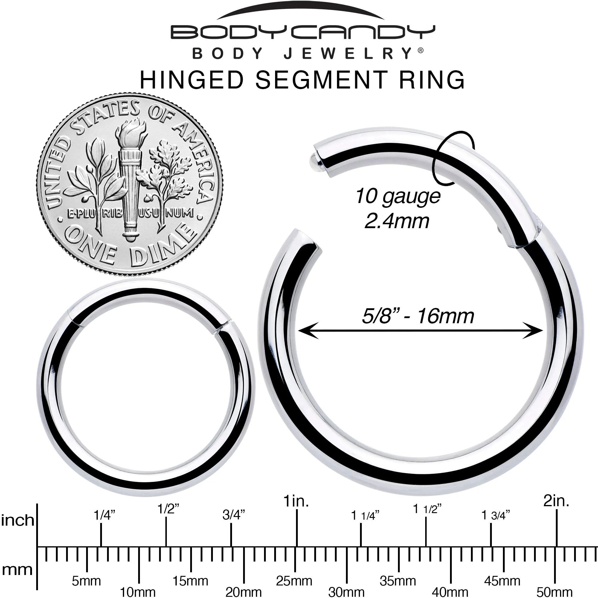 10 Gauge 5/8 316L Surgical Steel Precision Hinged Segment Hoop