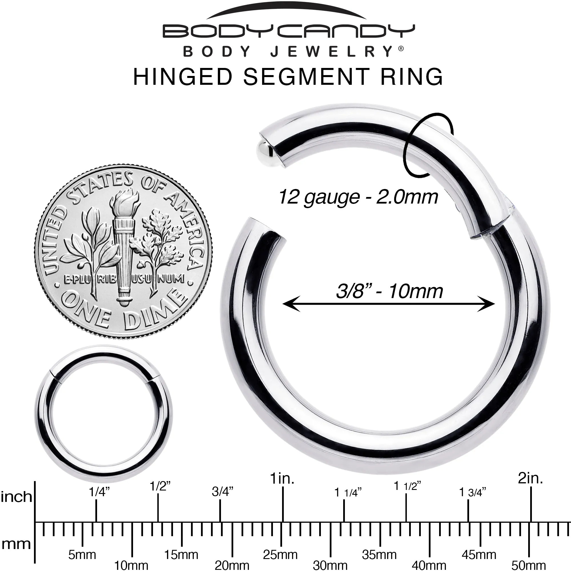 12 Gauge 3/8 316L Surgical Steel Precision Hinged Segment Hoop