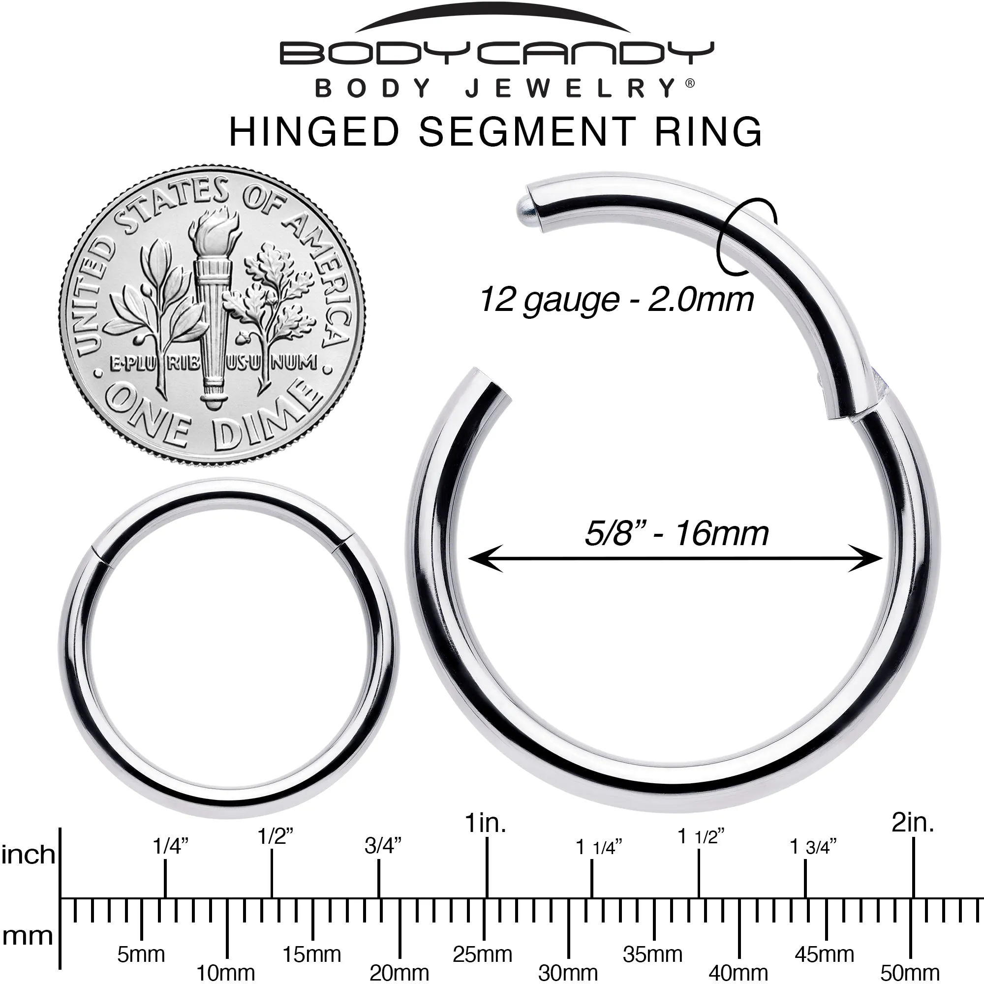 12 Gauge 5/8 316L Surgical Steel Precision Hinged Segment Hoop