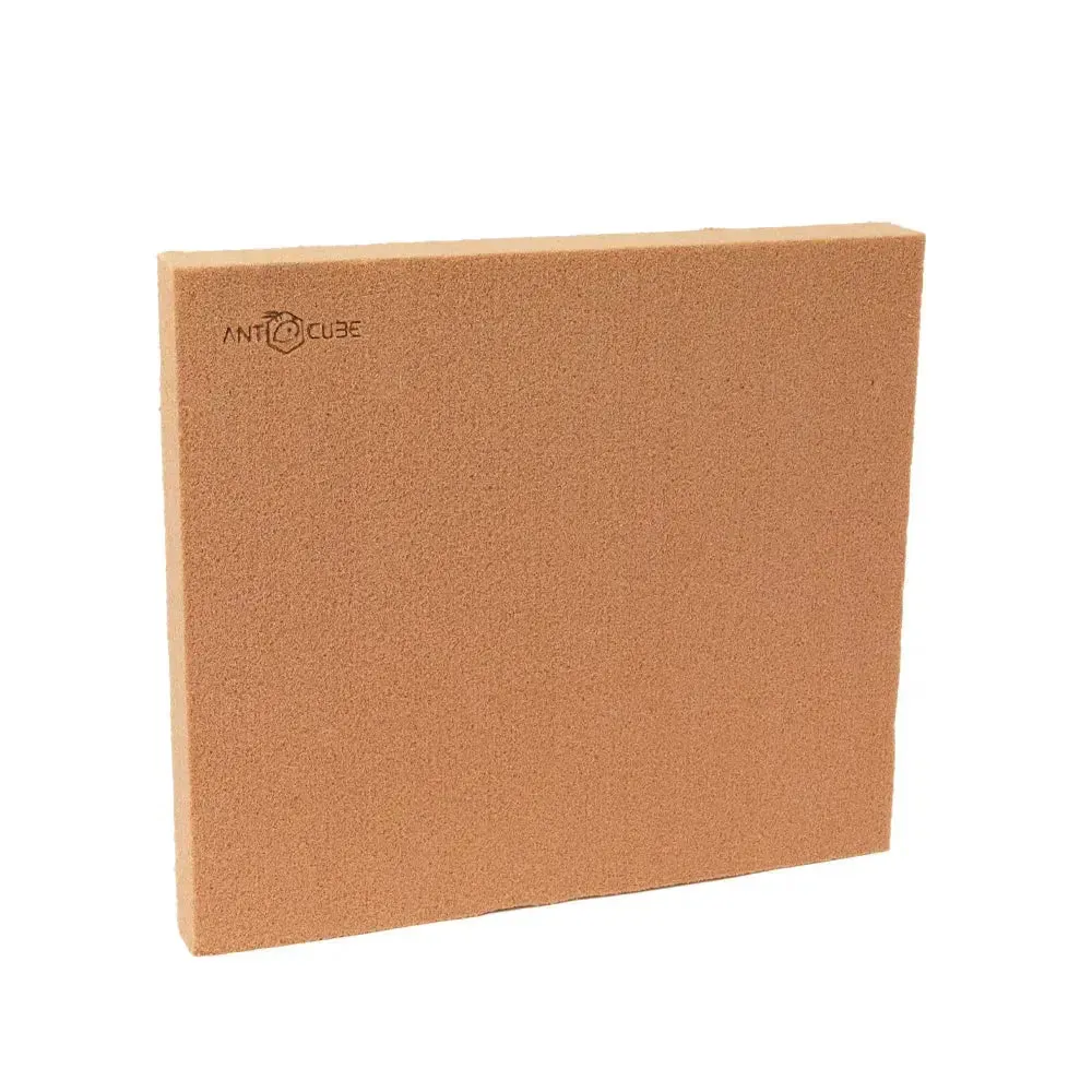 ANTCUBE Starter Set for Harvester Ants – L – Popcorn