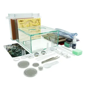 ANTCUBE Starter Set for Harvester Ants – L – Popcorn