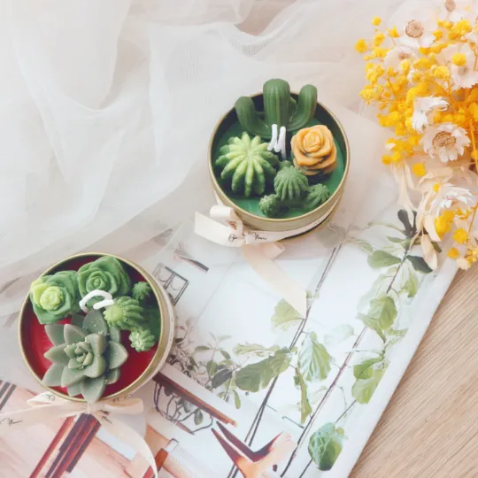 Cactus   Succulents Gardening Candles 2 pcs 2 Hours