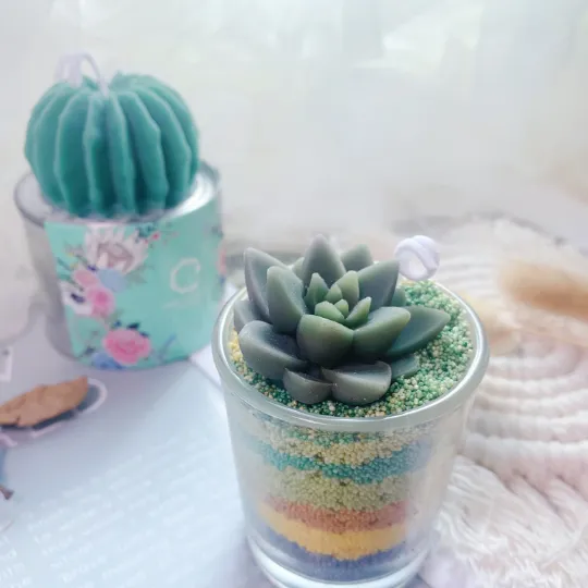 Cactus   Succulents Gardening Candles 2 pcs 2 Hours