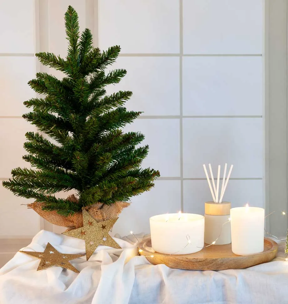 Garden 3 Wick Candle With Gift Box